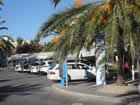 Guide to Santa Ponsa - Tourist and Travel Information, Hotels, Santa Ponsa Plaza Roundabout, Taxis
